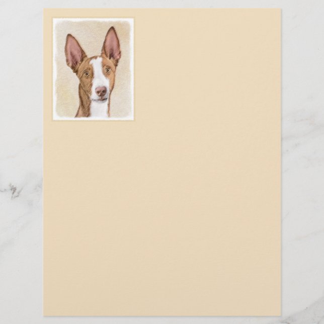 Lámina Pintura enredadera ibicenca - Arte de perro origin (Anverso)