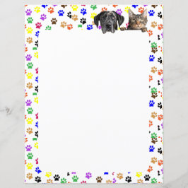 Lámina Pinturas coloreadas con perro y gato 8,5 x 11