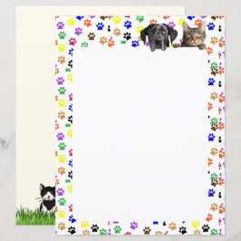 Lámina Pinturas coloreadas con perro y gato 8,5 x 11