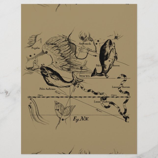 Lámina Pisces Constellation Hevelius Decoración 1690 (Anverso)