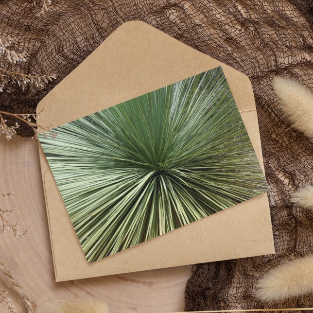 Lámina Planta Australiana - abstracta (Subido por el creador)