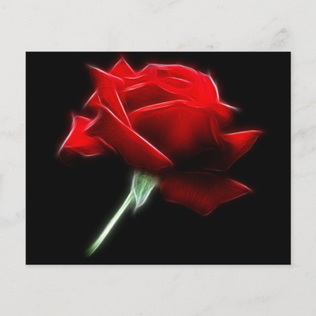 Lámina Planta de Flores de Rosa Roja (Anverso)
