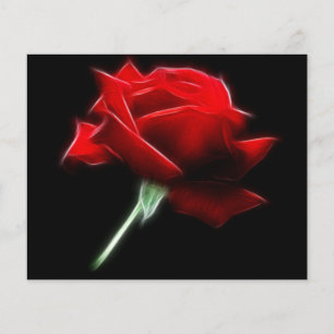Lámina Planta de Flores de Rosa Roja