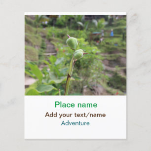 Lámina Plantas naturales fotografía nombre de viaje en ag
