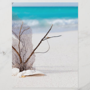 Lámina playa con concepto de playa y mar belleza caribe a