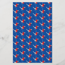 Lámina Pole Fitness