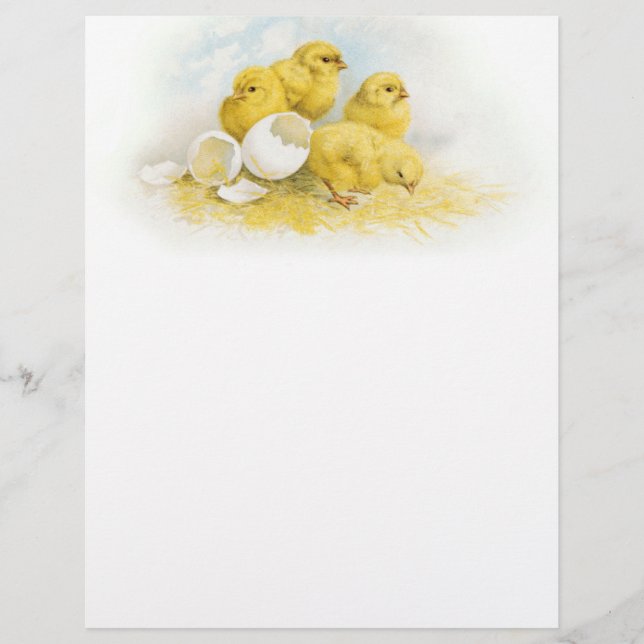 Lámina Pollos para bebés ventilares (Anverso)