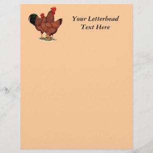 Lámina Pollos rojos de producción