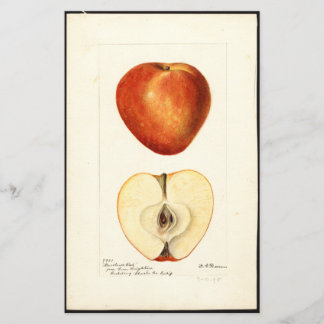 Lámina Pomological Watercolor Marshall Red Scrapbook