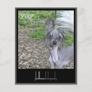 Lámina Portada del calendario 2012