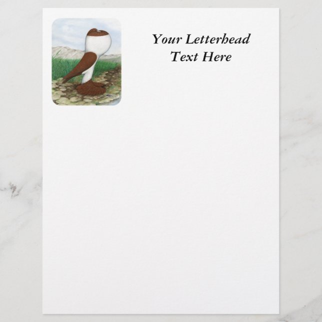 Lámina Pouter Pigeon Red Hana (Anverso)