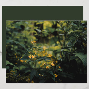 Lámina Prado verde oscuro, papel de foto para Scrapbook