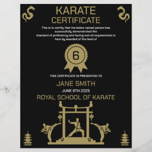 Lámina Premio Karate