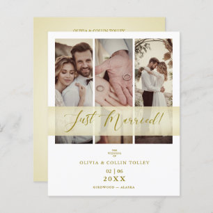 Lámina Presupuesto electo 3 fotos recién mandado casado