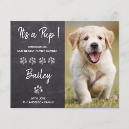 Lámina Presupuesto es una nueva Invitación de perro de ca