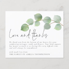 Lámina Presupuesto Eucalyptus Compasión funeraria Amor y 