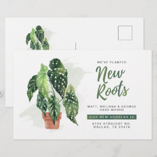 Lámina Presupuesto Hemos movido las raíces de la Invitaci