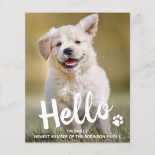 Lámina Presupuesto Hola Nuevo Mascota Foto Invitación Per