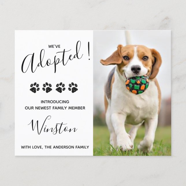 Lámina Presupuesto Nueva Mascota Hemos Adoptado Cachorro  (Anverso)