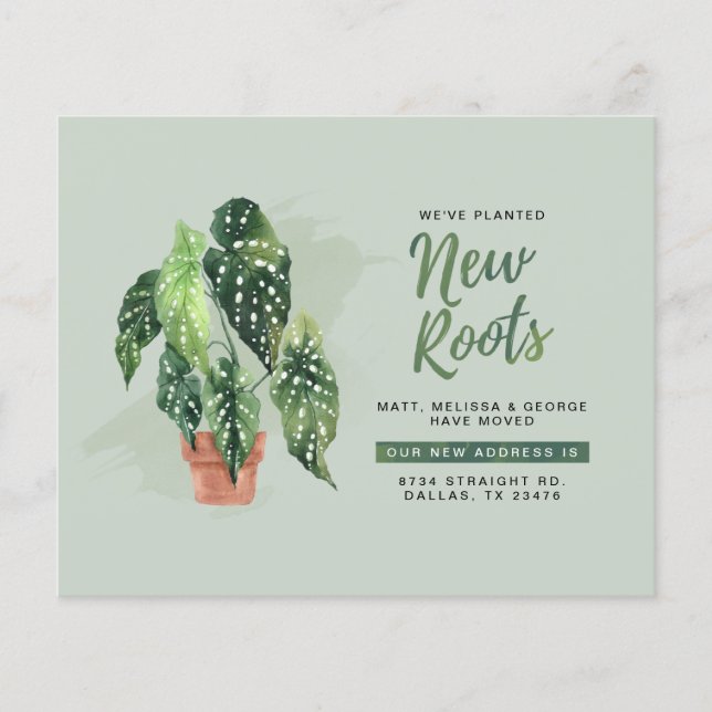 Lámina Presupuesto Nuevas Raíces Nueva Dirección Invitaci (Anverso)