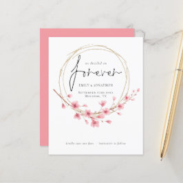 Lámina Presupuesto que decidimos para salvar la fecha