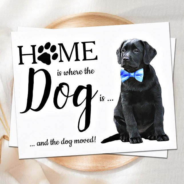 Lámina Presupuesto que hemos movido la Invitación de movi (Subido por el creador)