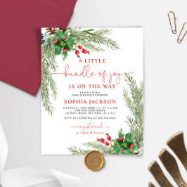 Lámina Presupuesto Un Pequeño Paquete De Alegría Invitado