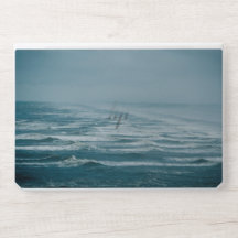 Olas del Mar de Invierno
