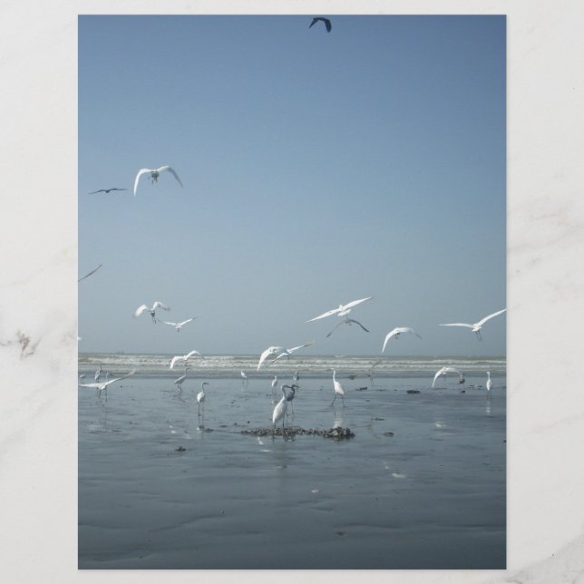 Lámina Puedo volar (Anverso)