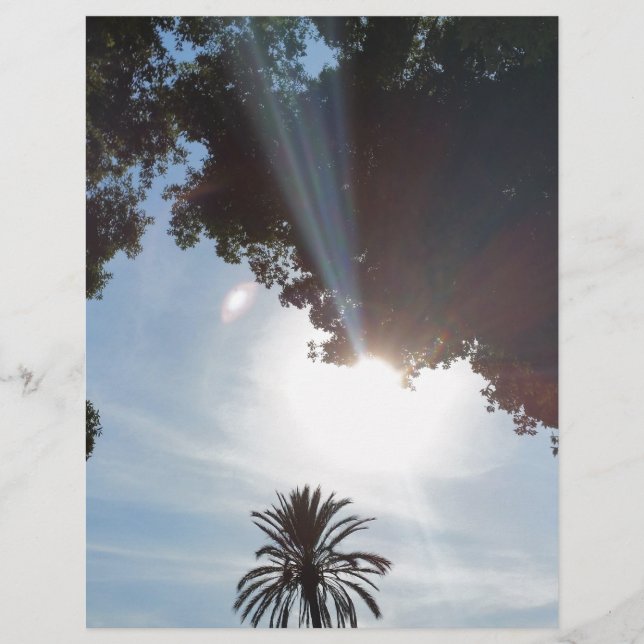 Lámina puesta de sol sobre el parque (Anverso)