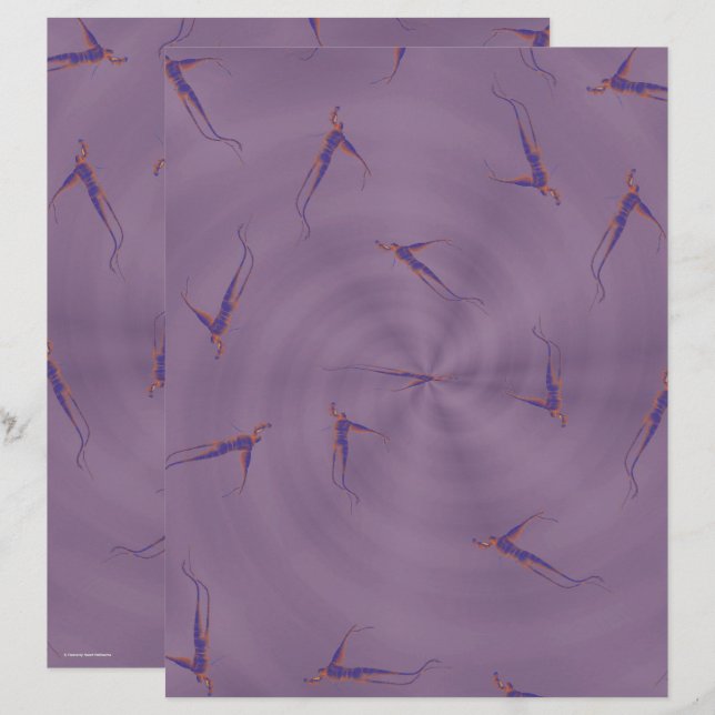 Lámina Purple Ginseng Man Scrapbook Paper 2-Sided Page (Anverso / Reverso)