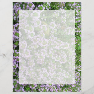 Lámina Purple Thyme