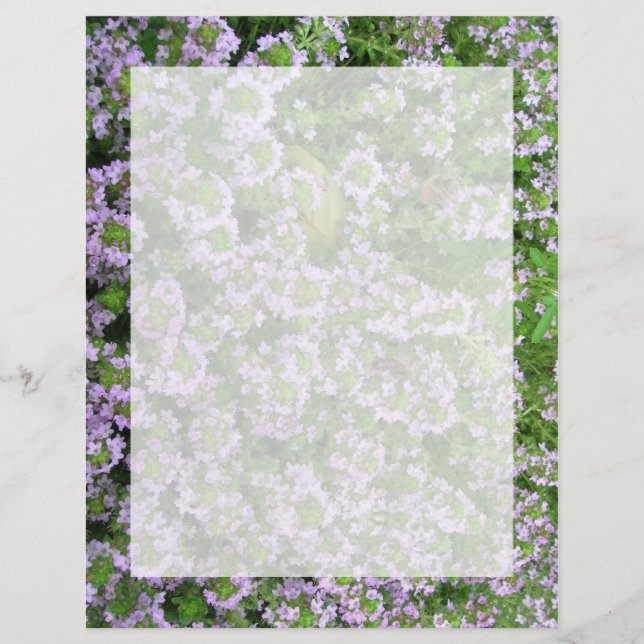 Lámina Purple Thyme (Anverso)