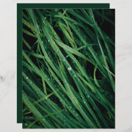 Lámina Raindrops on grass scrapbook paper