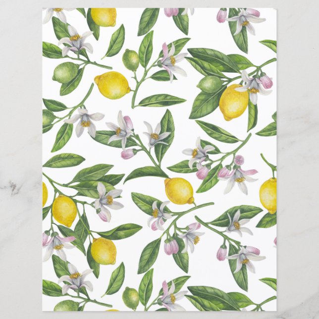 Lámina Ramas de limón con flores y fruta en blanco (Anverso)