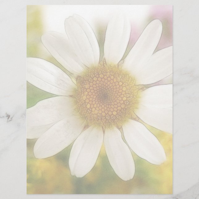 Lámina Ramo de flores - Margarita blanca (Anverso)