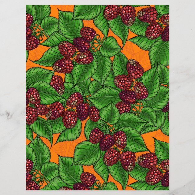 Lámina Raspberry (Anverso)