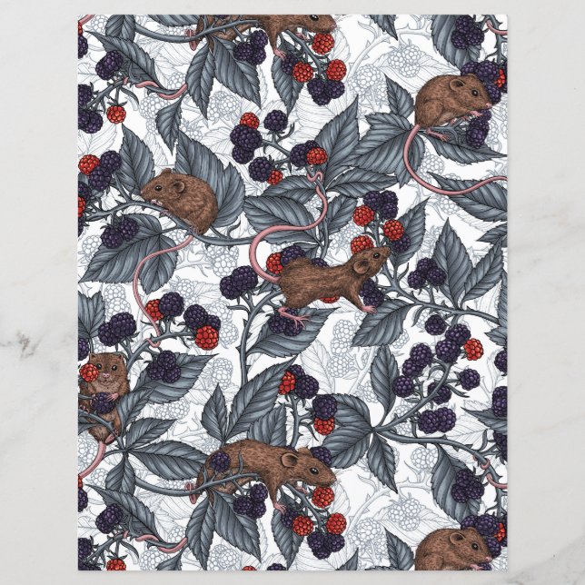 Lámina Ratones y moras blancas (Anverso)