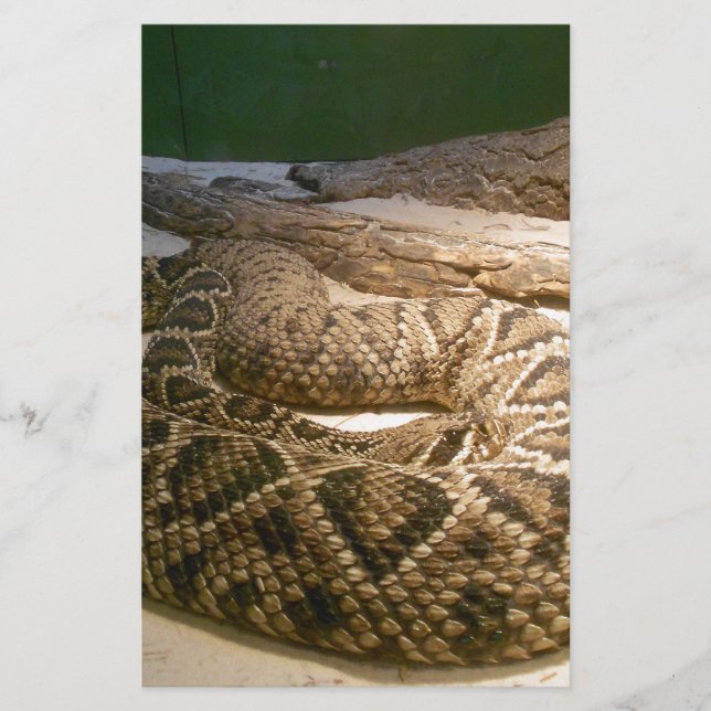 Lámina Rattle Snake (Anverso)