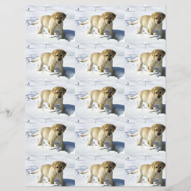 Lámina RCA cachorro de laboratorio amarillo en la nieve (Anverso)