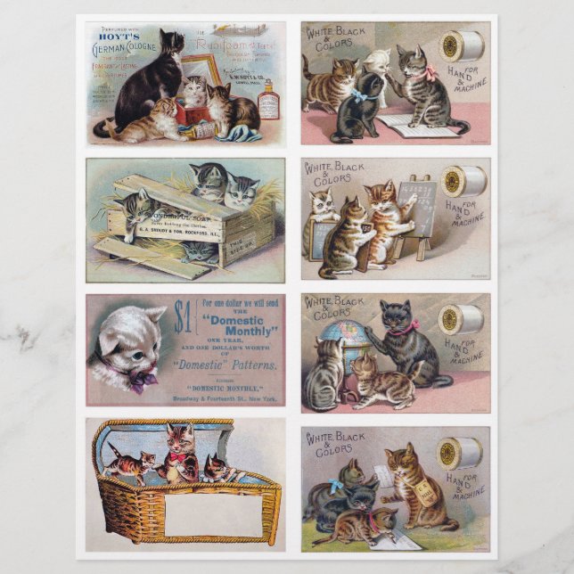 Lámina Real (not AI) Helena Maguire Inspired Trade Cards (Anverso)