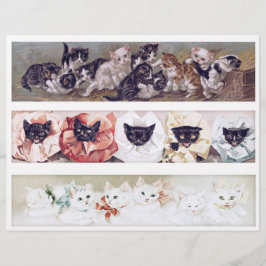 Lámina Real (not AI) Long Victorian Era Cat Illustrations