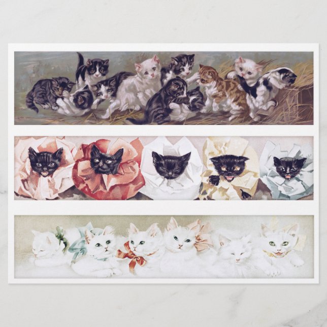 Lámina Real (not AI) Long Victorian Era Cat Illustrations (Anverso)