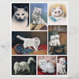 Lámina Real (not AI) White Cat Images from Victorian Era