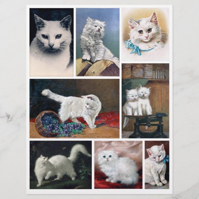 Lámina Real (not AI) White Cat Images from Victorian Era (Anverso)