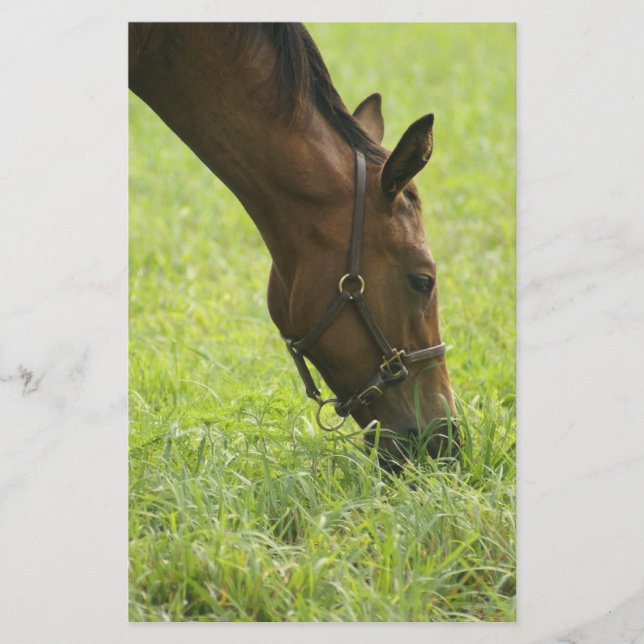 Lámina Recorriendo (Anverso)