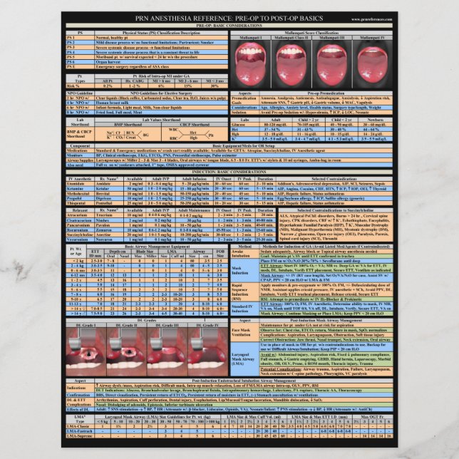 Lámina Referencias a la anestesia del PRN - Conceptos bás (Anverso)