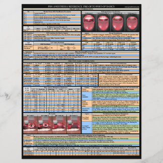 Lámina Referencias a la anestesia del PRN - Conceptos bás