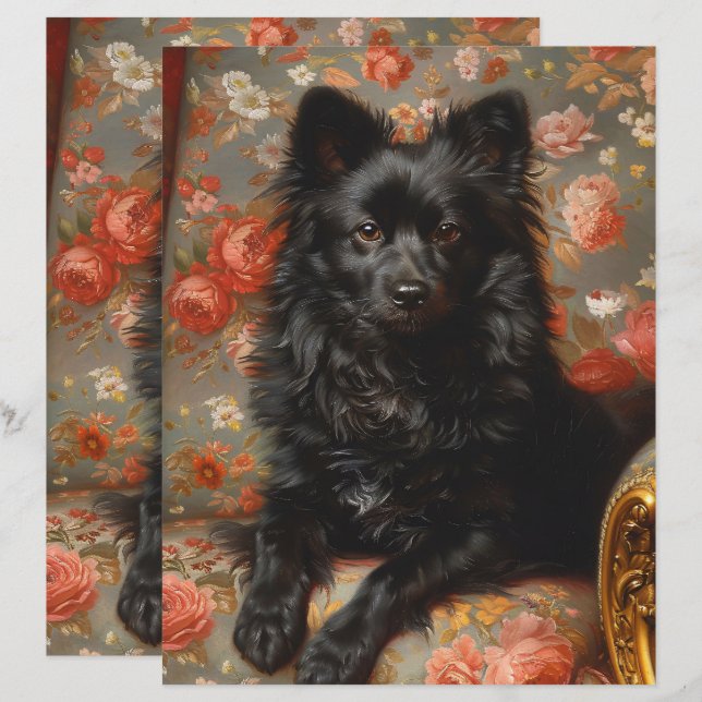 Lámina Regal Schipperke Dog Vintage Scrapbook Paper (Anverso / Reverso)