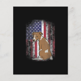 Lámina Regalo Patriótico Whippet American Flag Perg Lover